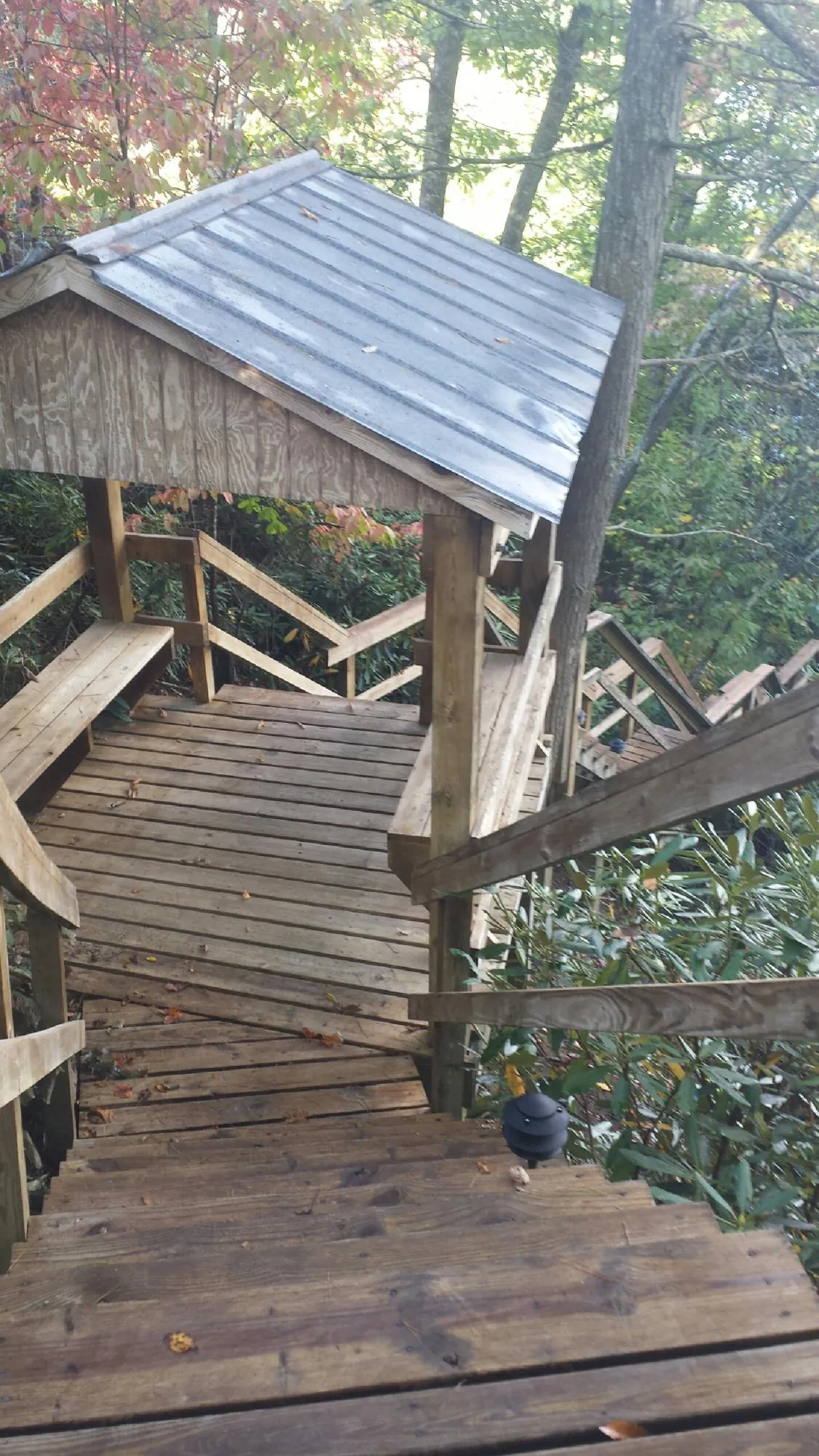 Metal roofed shelter over wooden steps on a wooded walkway — Skylight Repair & Installation work by our crew in Millwood